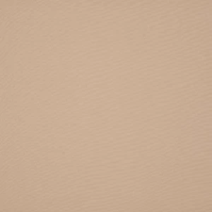 orchestra-beige-8902