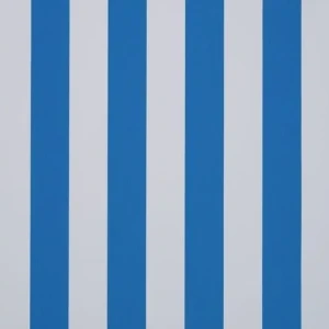 orchestra-blanc--bleu-8910