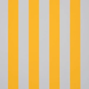 orchestra-blancjaune-8553