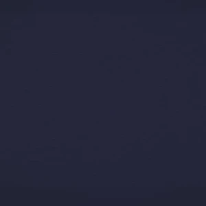 orchestra-bleu-nuit-8238