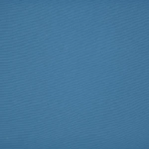 orchestra-bleuet-8204