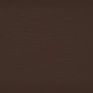 orchestra-brownie-u224