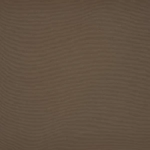 orchestra-cacao-8776