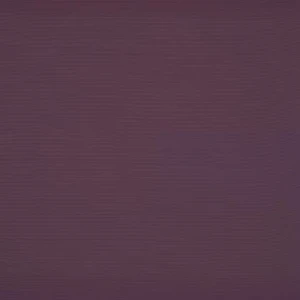 orchestra-cassis-7554