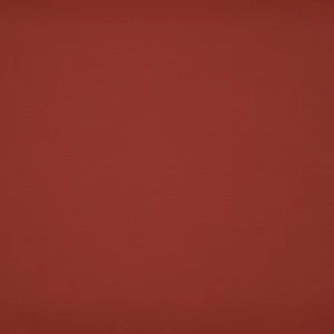 orchestra-chataigne-8207