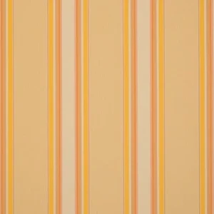 orchestra-chicago-7467