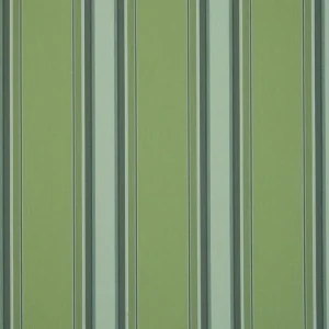 orchestra-chicago-green-d310