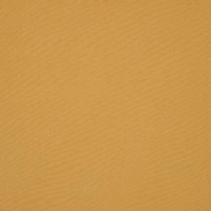 orchestra-curry-u105