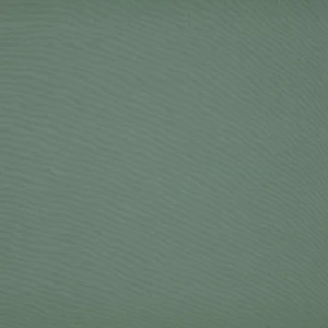 orchestra-fougere-8201