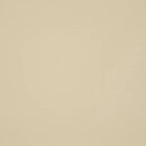 orchestra-ivoire-7548