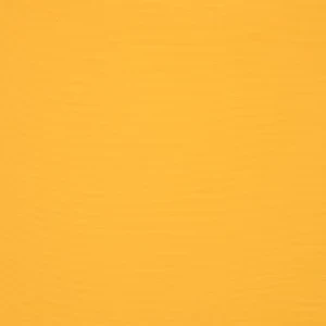 orchestra-jaune-6316