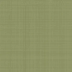 orchestra-lichen-piqu-u416