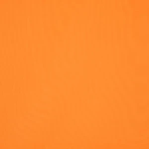 orchestra-mandarine-0867