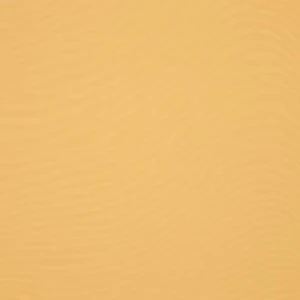 orchestra-paille-7560