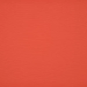 orchestra-papaye-8205