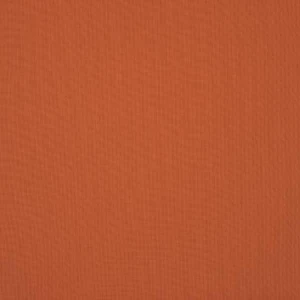 orchestra-potiron-piqu-u413-1