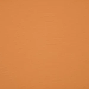 orchestra-sable-0034