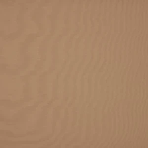 orchestra-toast-8891