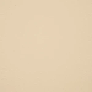 orchestra-vanille-6610