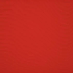 orchestra-vermillon-0020